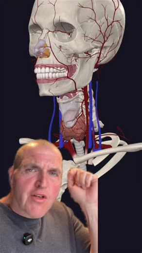 16K views · 13K reactions | Your liver and thyroid are connected! #anatomy #medical #science | SCI Body Therapy | Facebook