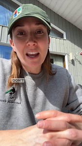 88K views · 6.5K reactions | Clean your hummingbird feeders more frequently in hot and humid weather and/or if you see mold growth! Make your own hummingbird food: 1/4 cup sugar 1 cup boiling water Mix refined white sugar and boiling water together until sugar is dissolved. Cool the mixture, then fill your clean feeder. Refrigerate leftovers for up to a week in a lidded jar. Share this hummingbird food recipe with your friends! | Nature Canada | Facebook