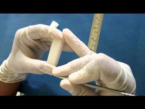 Basic Principles of Tooth Carving - DADH