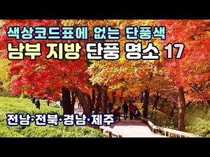 [남부지방 Best 단풍명소 17곳] 눈 부시게 화려한 남부 지방 단풍이 시작되었습니다 - 전북·전남·경남·제주 단풍명소 full 가이드 & 예상 절정기 정보