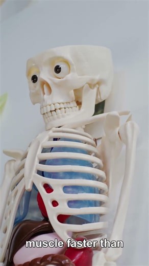 Your Bones Release Muscle-Building Growth Factors — But Only If You Do This #Shorts