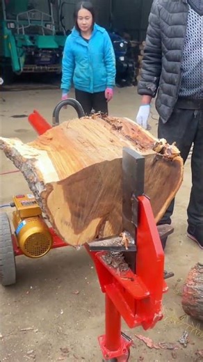 Powerful Electric Log Splitter Effortlessly Halves a Massive Stump