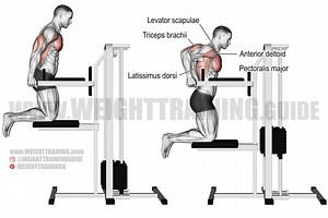 Machine-assisted triceps dip exercise instructions and video