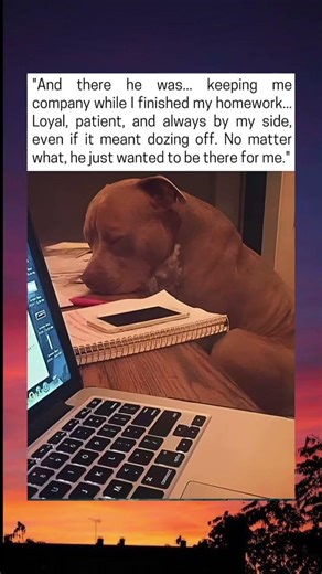 The Dog Who Stayed for Homework 🐶📚