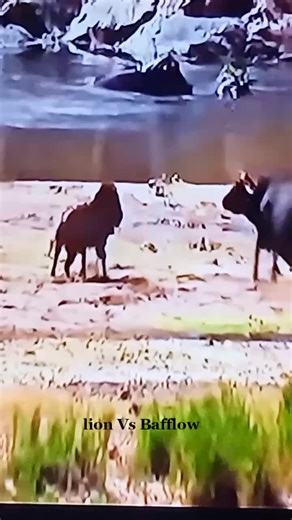 London..21 (@london..21)’s videos with original sound - London..21