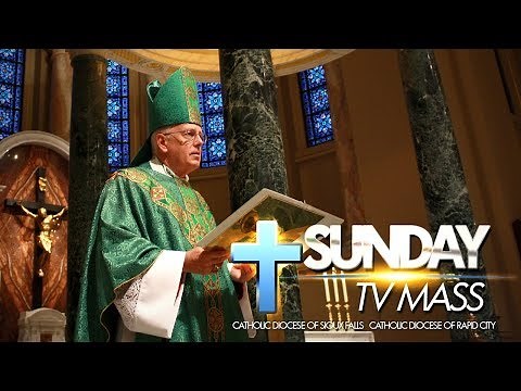 Sunday TV Mass - July 7, 2019 - Fourteenth Sunday in Ordinary Time