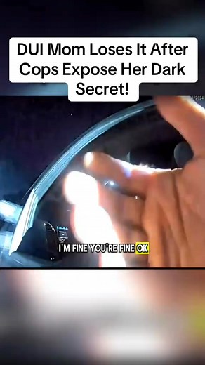 DUI Mom Loses It After Cops Expose Her Dark Secret! | Convenient Container Homes