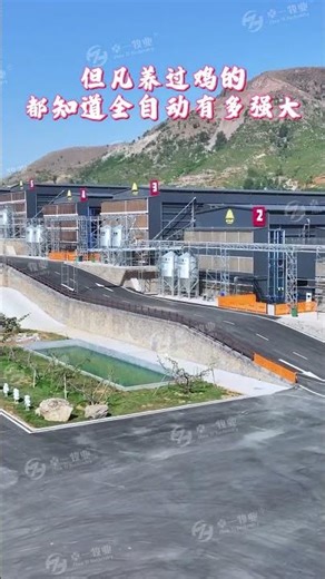 Fully automatic breeding equipment #automatic #chicken#farm #equipment