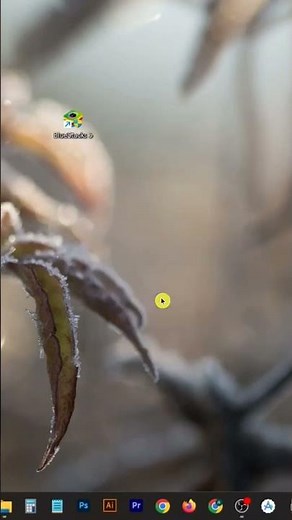 How to Fix Incompatible Windows Settings Error in BlueStacks 5 just one click