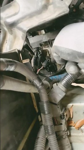 Lexus rx330 speed sensor location on 2006￼