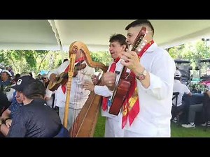 El Querreque – Son Jarocho Tradicional en Vivo | Música Veracruzana