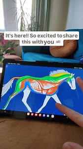 💥OFFICIAL LAUNCH! - “Equine Myofascial Kinetic Lines – An Anatomy Guide for Therapists”💥 Understanding the anatomy of myofascial lines is an invaluable tool for musculoskeletal therapists! This digital learning resource is designed to help therapists integrate this knowledge into their clinical practice. With clear, detailed diagrams of all fascial lines, it highlights the precise anatomy involved and the function of each line. This helps therapists quickly identify affected structures, uncove