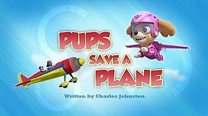 Watch Paw Patrol Season 7 Episode 4 - Pups Save a Playful Dragon/Pups Save the Critters