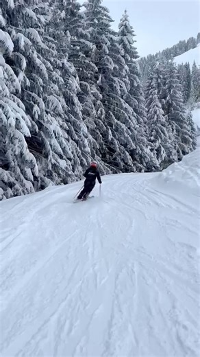 Winterwonderland is terug! 🤩 📍 Maria Alm in skigebied Hochkönig 📹 Marleen van @snowlife.nl #skiinformatie #skiinformatienl #sneeuw #snow #mariaalm #hochkonig #hochköniggefühl #skigebied #skien | Skiinformatie.nl