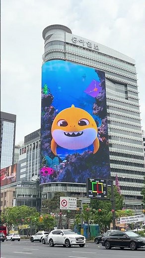 어푸! 광장에 나타난 아기상어🦈 #shorts