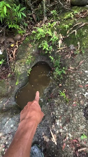 Expert Tips for Successful Gold Prospecting