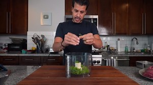 An Authentic Greek Gyro Experience