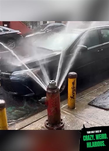 Funny Water Burst Failures😅 | Ricky Forbes