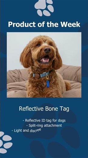 Product of the Week: Reflective Bone ID tag #dogid #lostdog #dogaccessories