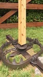 84K views · 644 reactions | Grizzly, Bear trap in action. . . . . #bear #trap #forest #tips #outdoors #survival #camping | Trap Three | Facebook