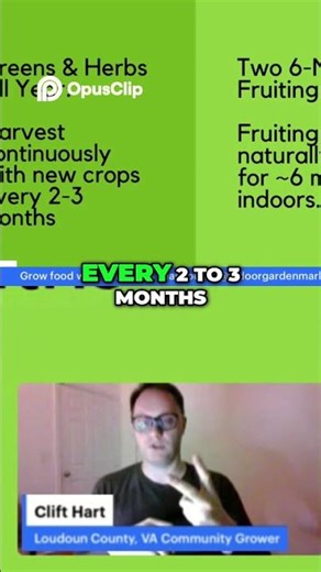 Indoor Food Growing 2026 Plan — Year-Round Greens & Herbs?!?