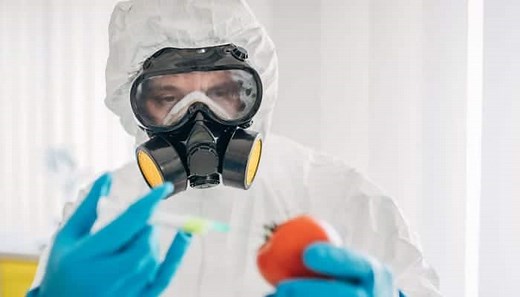 10 Best Full Face Respirators Reviewed and Rated in 2026