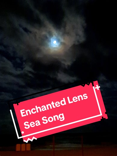 Discovering the Ocean's Enchanted Mysteries