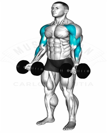 29K views · 2.3K reactions | Full arms biceps y triceps workout | Muscle man | Facebook