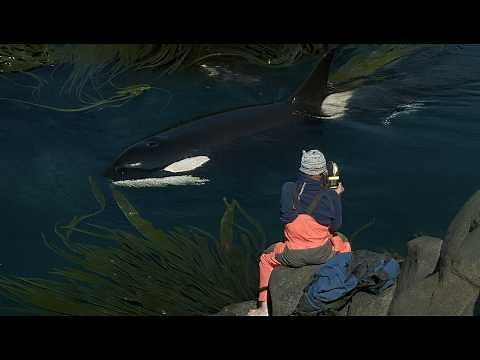 The Orcs of Crozet: David and the Goliaths | Documentary