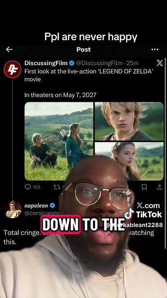 Legend of Zelda Movie: The Anticipation and Reactions
