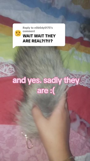 Exploring Therianthropy with Realistic Animal Tails | Fox Tail