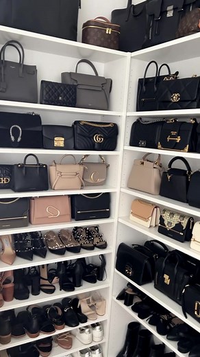 Louis Vuitton Handbag Collection and Closet Organization