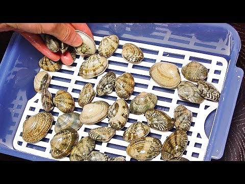 あさりの砂出し（砂抜きの方法・解説付き） - How to Remove Sand from Clams.