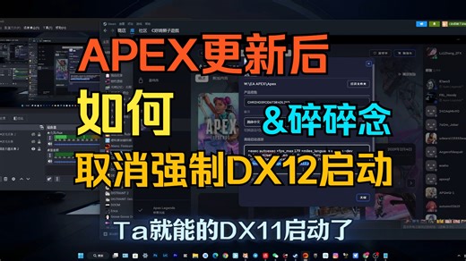 【APEX】（已失效）关于更新后 如何取消强制DX12启动(EA平台)