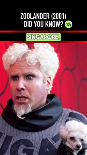 Such a goofy movie. #zoolander #zoolander2001 #benstiller #owenwilson #christinetaylor #willferrell #millajovovich #jonvoight #davidduchovny #stillerverse #fashioncomedy #satirefilm #early2000scomedy #cultclassic #moviequotes #bluesteel #magnumlook #derelict #runwayparody #filmlore #scottneumyer #didyouknowthis #didyouknowthat #moviefacts #movietrivia #triviadude | Scott Neumyer