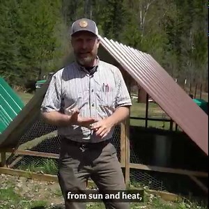 What To Look For In A CHICKEN TRACTOR (Watch This Before You Buy or DIY) | Homesteading Family