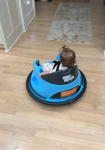 Bumper Cars: A Childhood Dream Come True