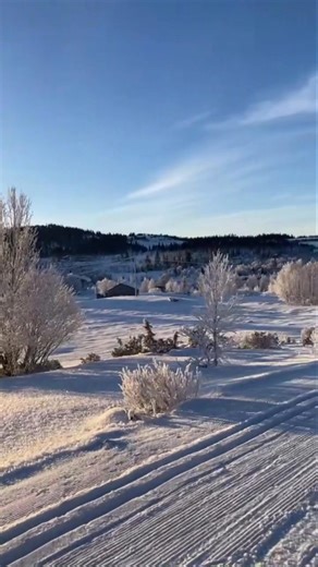 Velkommen til Gamlestølen! 💫🎄 Gamlestølen Fjellstue er åpen i dag fra kl. 11.00 til 20.00, og vi har alt klart for en skikkelig fin fjelldag ❄️☕ Nykjørte løyper – så ferske at de nesten lukter nypreppa! Barneband for de minste går mellom kl. 12.00–15.00 – her er det rom for både latter og litt ustø stil 😉 Quiz kl. 15.00 – perfekt for deg som kan litt, gjetter mye eller bare vil vinne æren (og kanskje litt skryt). 😅 Kom innom for god stemning, noe varmt i koppen og en pause du fortjener 🏔️❤️