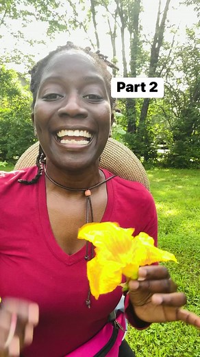 2.7K views · 142 reactions | How to hand pollinate #pollination #pollinators #bees #squash #blossom #flowers #gardening #organicgarden #vegetablegarden #pollinating #growfood #backyardgardener #Zone6 #localfood #fyp | GroLeafy with Alethea | Facebook