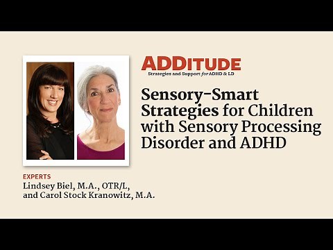 Sensory-Smart Strategies for Children with Sensory Processing Disorder and ADHD (Biel and Kranowitz)