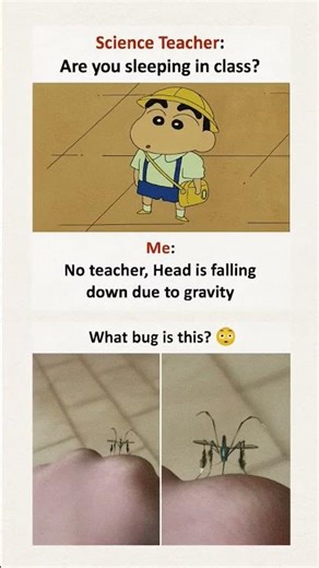 Watch bug is this?. #youtube #memes #trending #funny #viralvideo #subscribe #shorts.