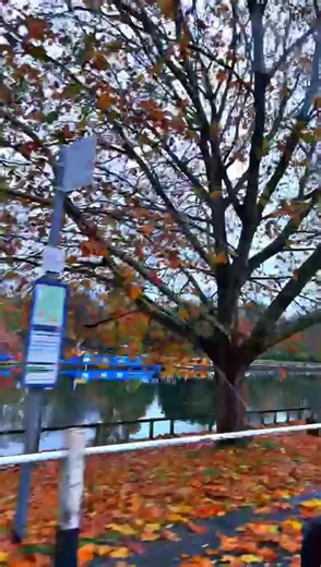 Bahman (@bahman1919760710)’s videos with original sound - Bahman