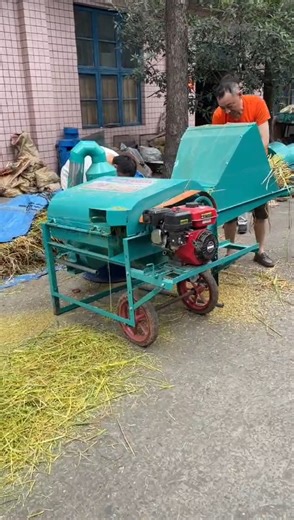 Paddy thresher with gasoline engine, using for wheat, sorghum, paddy, rapeseed, etc. #thresher #farmmachinery | Mini Rice Mill Machine
