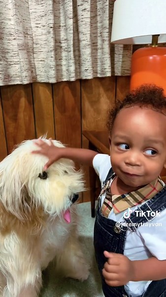 We had the pleasure of touring the #bradybunchhouse #HGTV spent 9,000 hours renovating the home. The zigzag walkway and artifical grass in the backyard are still there too! #hollywoodhistory #iconichome #thebradybunch #bradybunch