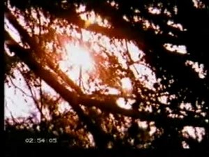 Gerard Manley Hopkins 1