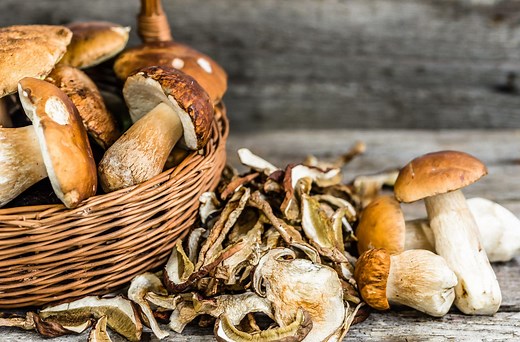 Comment sécher les champignons au four ? : astuces pratiques | expondo.fr
