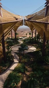 3.9K views · 162 reactions | Là où deux mondes se rencontrent. Explorez le Qartier Historique et les récifs de la mer Rouge. Vivez l'aventure. | Visit Saudi | Facebook