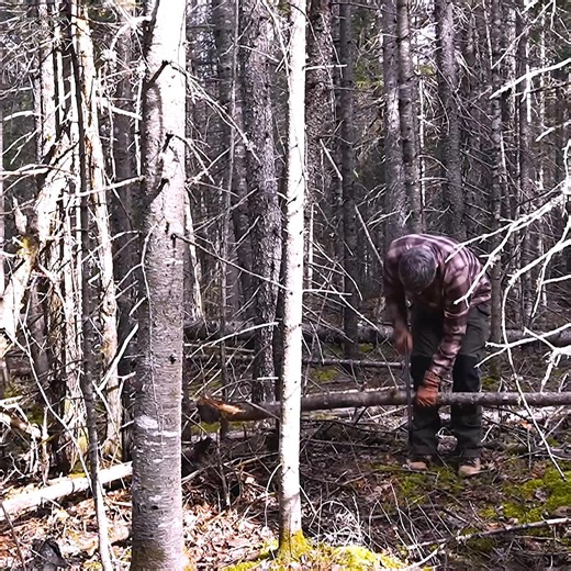 Building Heated Bushcraft Survival Shelter, Overnight Rainstorm, Wood stove cooking, Fireplace ASMR | House Mountain Nature