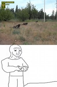 Intense fighting, You won't believe this incredible combat footage.