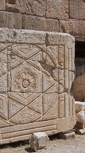 41K views · 1.3K reactions | Possibly over 2000 years old, the...